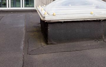 disadvantages of Clint flat roofs