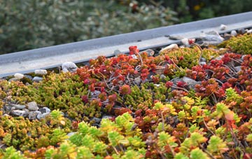 the cost of Clint green roof installation