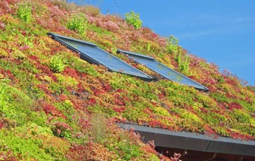 Clint living roof systems