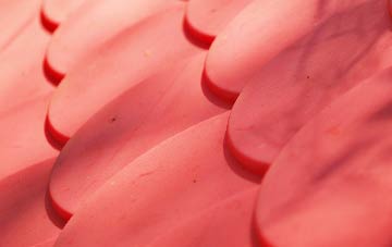 Clint plastic roof costs