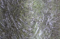 Clint fibreglass roof work