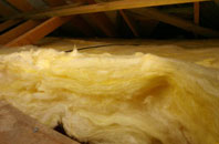 Clint pitch roof insulation